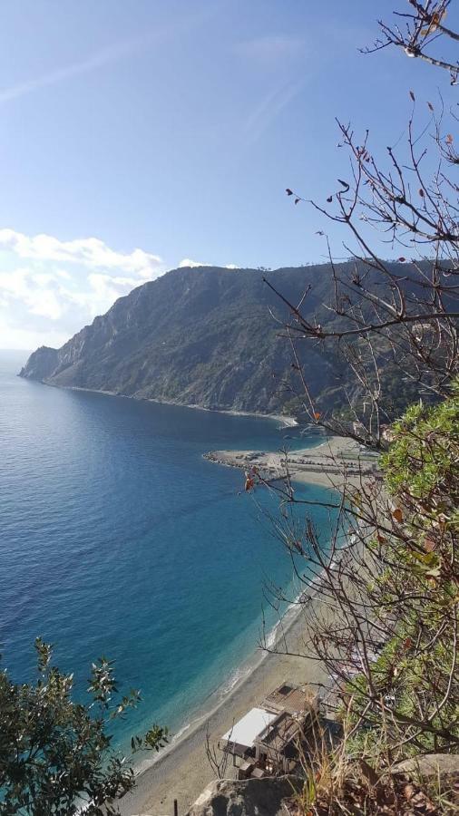 Appartamento Le Conchiglie Monterosso Al Mare Exteriör bild