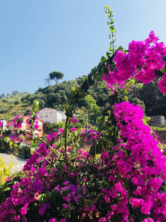 Appartamento Le Conchiglie Monterosso Al Mare Exteriör bild