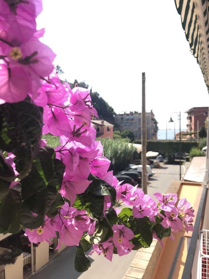 Appartamento Le Conchiglie Monterosso Al Mare Exteriör bild