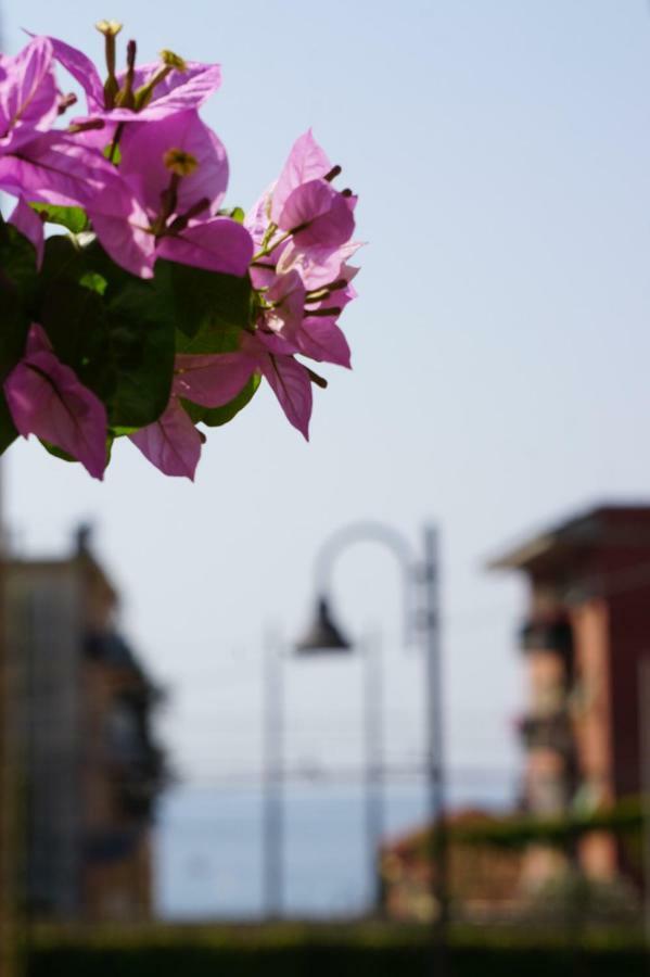 Appartamento Le Conchiglie Monterosso Al Mare Exteriör bild